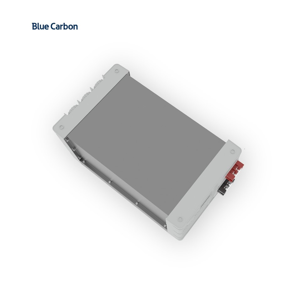 Blue Carbon 24 Volt Solar Lithium Battery Pack With Smart BMS price
