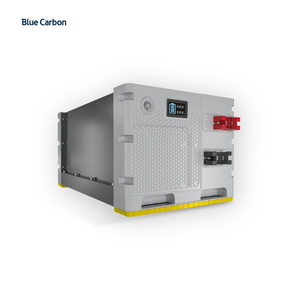 Blue Carbon 24 Volt Solar Lithium Battery Pack With Smart BMS best