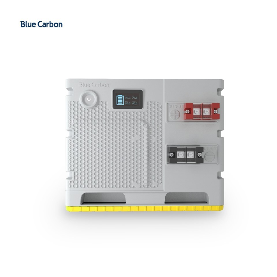 Blue Carbon 24 Volt Solar Lithium Battery Pack With Smart BMS factory