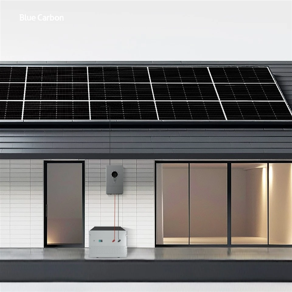 Blue Carbon 48V Lithium Battery Pack For Solar System Home Energy high quality
